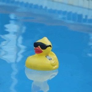 Meet your Posher, Grant